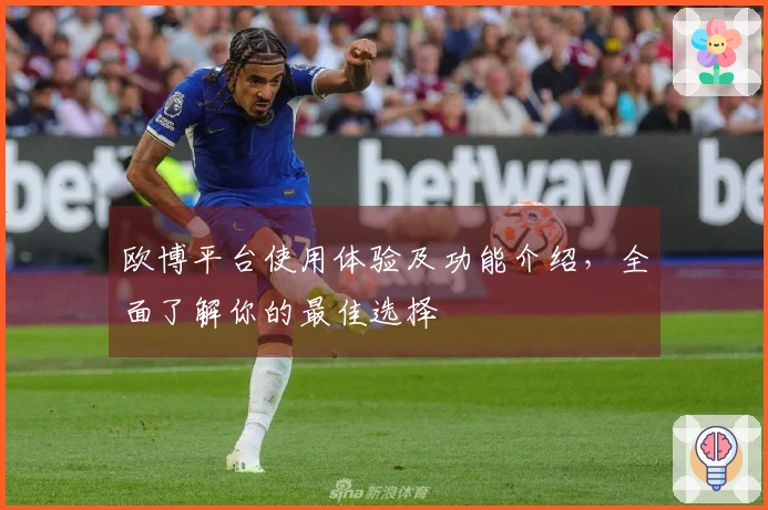 欧博平台使用体验及功能介绍，全面了解你的最佳选择