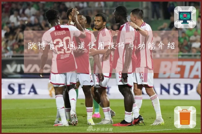 欧博官网通道使用技巧与功能介绍