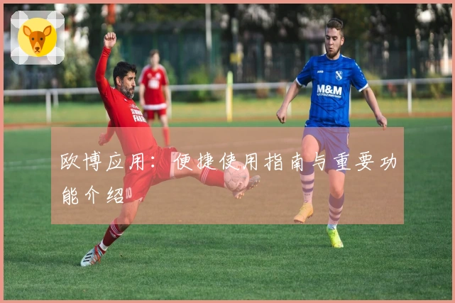 欧博应用：便捷使用指南与重要功能介绍