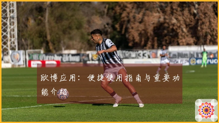 欧博应用：便捷使用指南与重要功能介绍