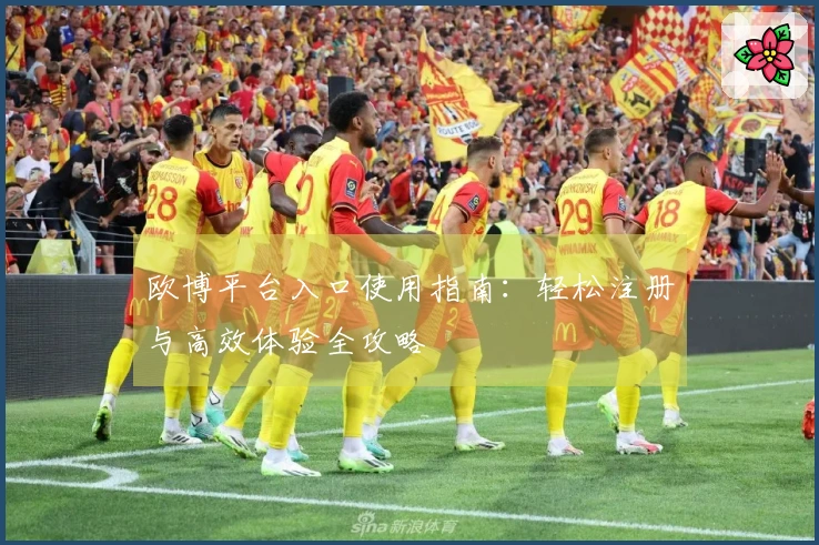 欧博平台入口使用指南：轻松注册与高效体验全攻略