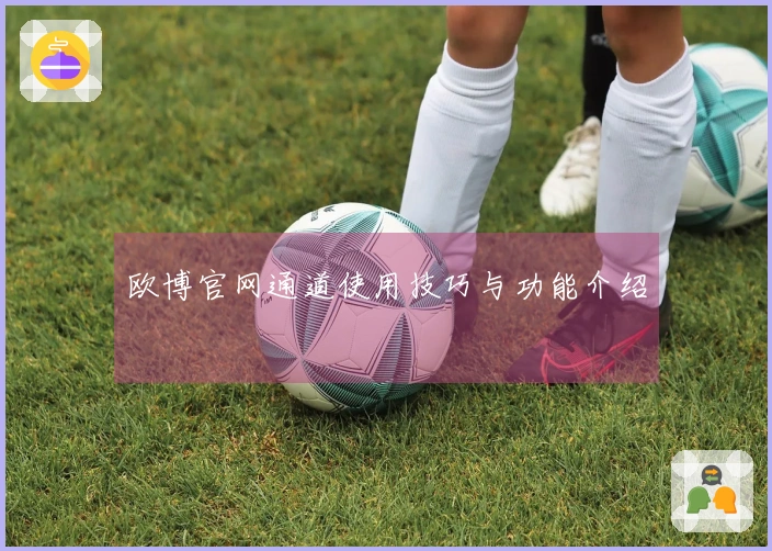 欧博官网通道使用技巧与功能介绍